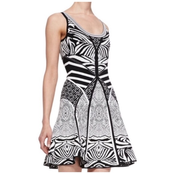 DIANE VON FURSTENBERG Fanny Zebra Tattoo Dress | M - Picture 2 of 11